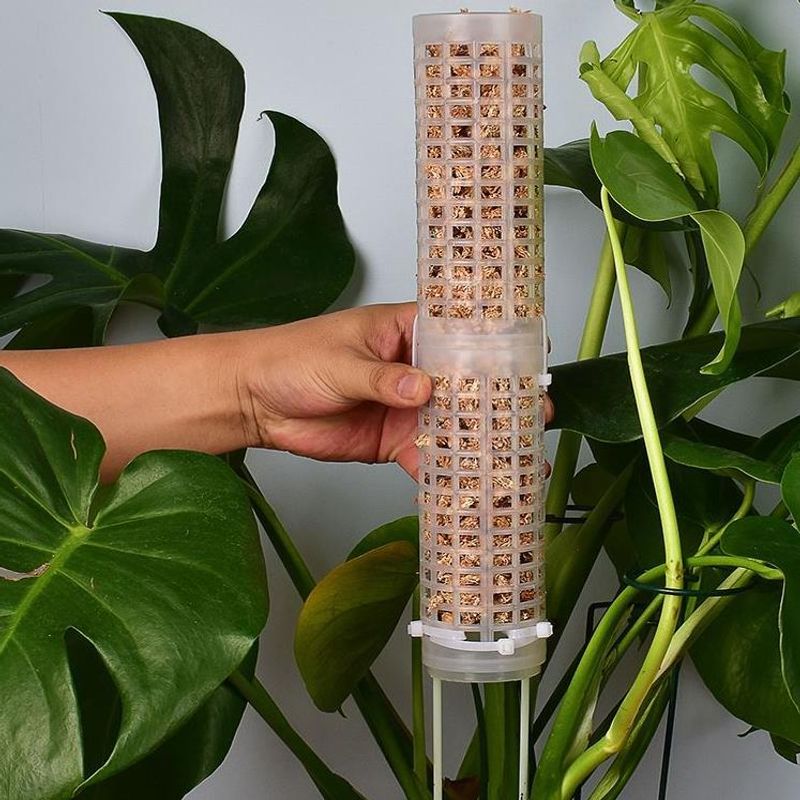 Sphagnum Moss Dry - Sphagnummosstok voor orchideeën en monstera's, klimplantensteun