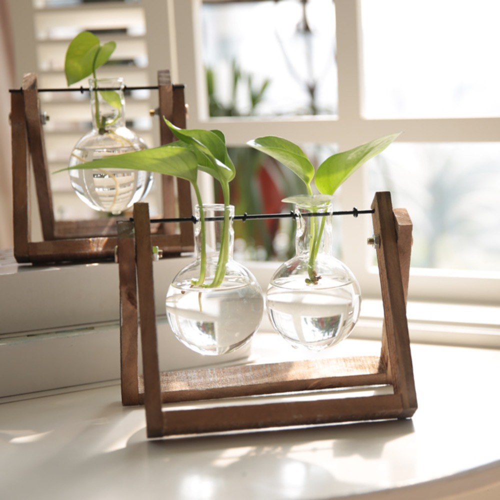Creatieve houten houder met sc - Propagation Station Vase recensie en prijs