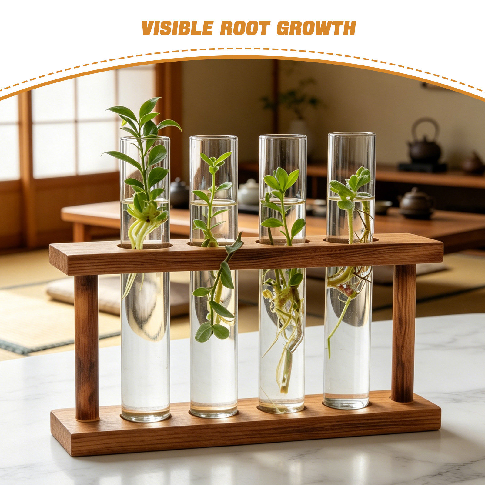 Houten plantenvermeerderingsst - Propagation Station Vase recensie en prijs
