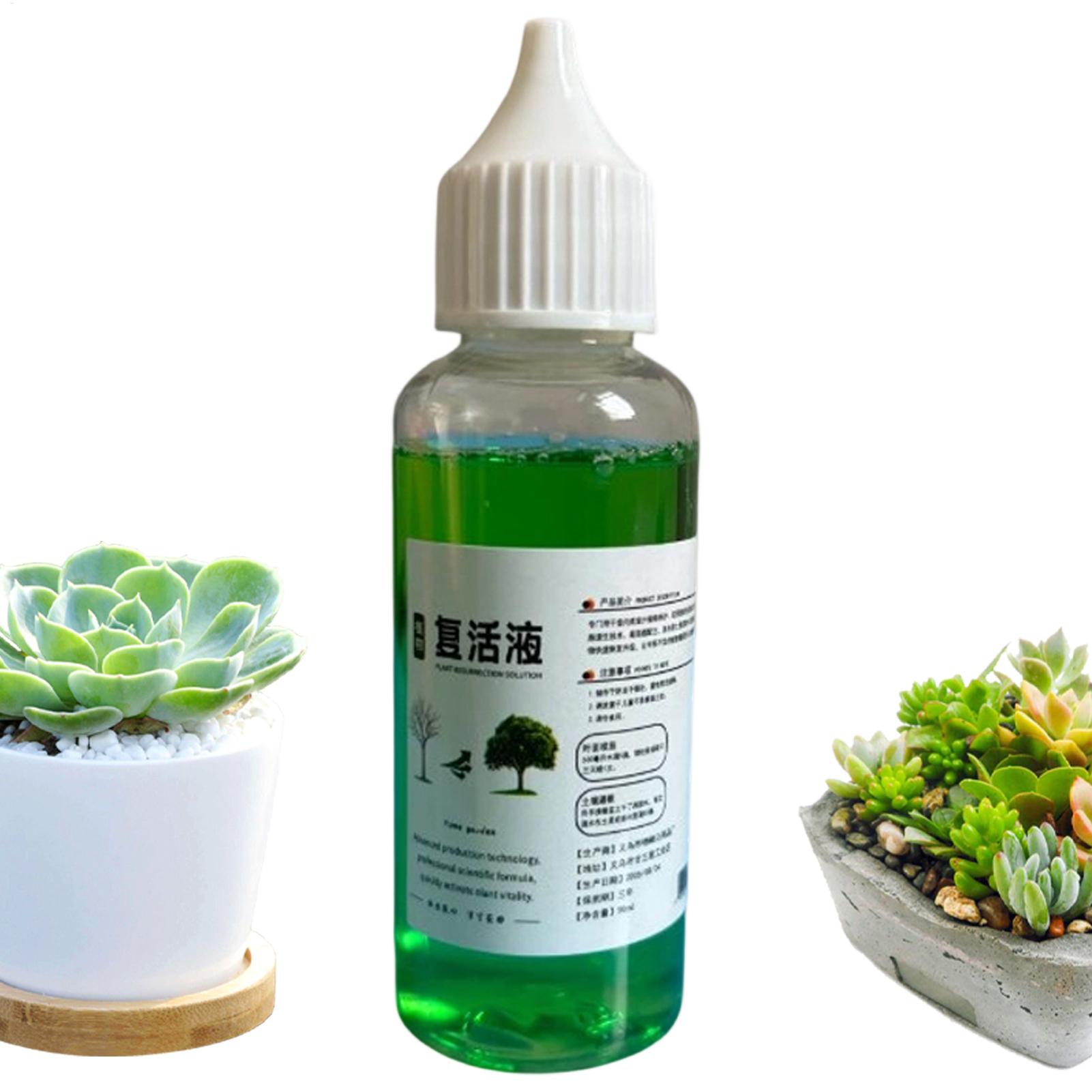 Wortelstimulator voor planten, - Root Stimulator Liquid recensie en prijs