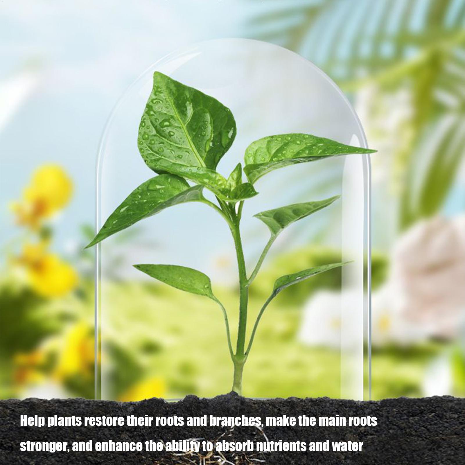 Wortelstimulator voor planten, - Root Stimulator Liquid recensie en prijs